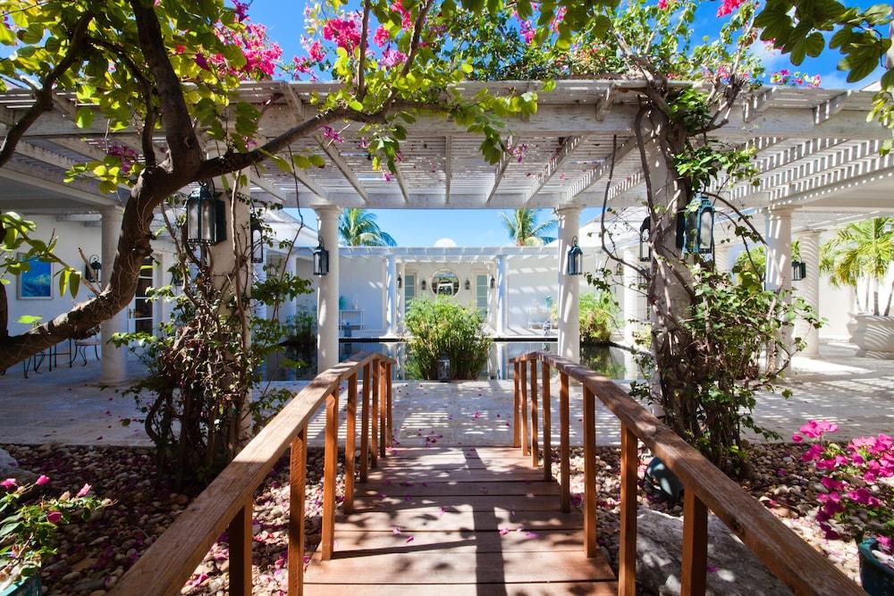 The Palms Turks And Caicos Hotel Grace Bay Kültér fotó